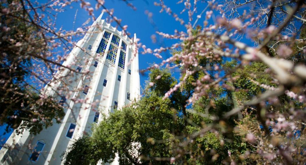 Burns Hall from below