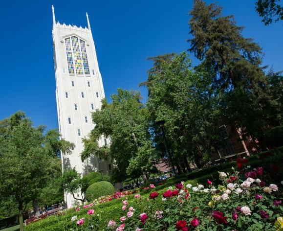 Burns Tower foregrounded by roses